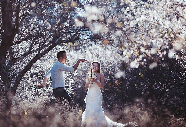 Vườn mận tại Mộc Châu cũng là địa điểm được nhiều cặp đôi lựa chọn để chụp ảnh cưới