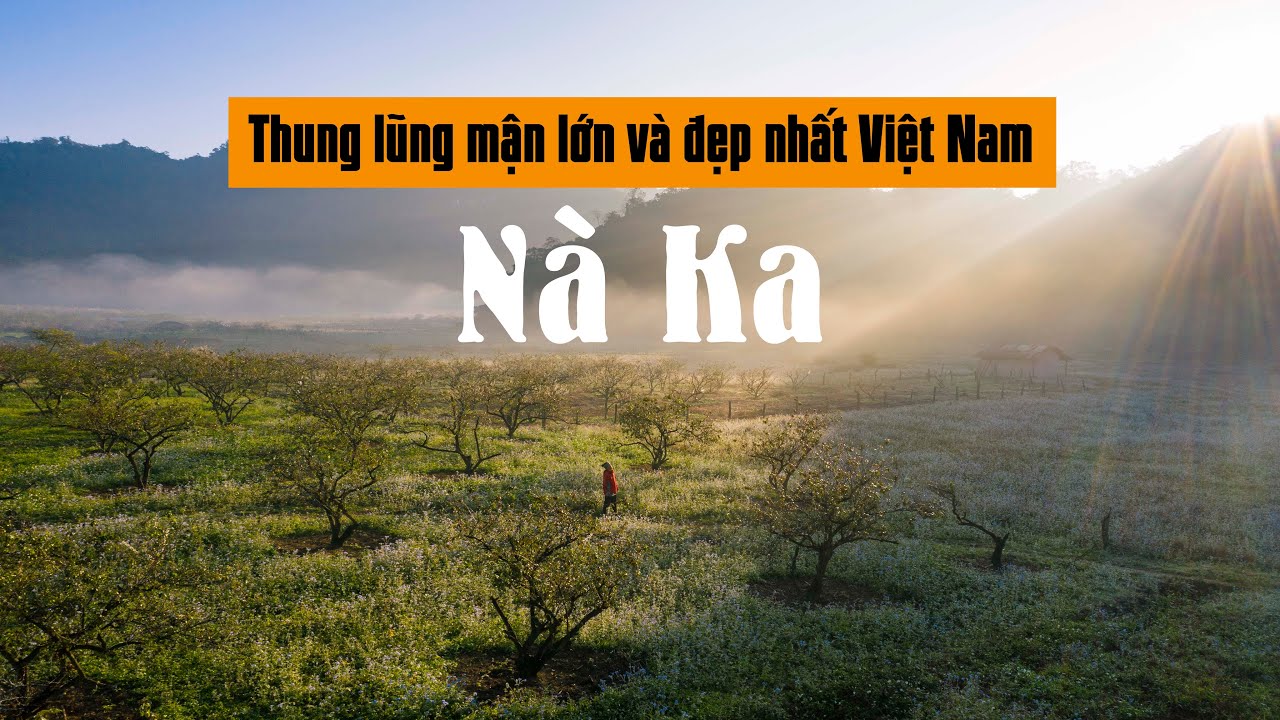 Nà Ka thung lũng mận lớn và đẹp nhất Việt Nam